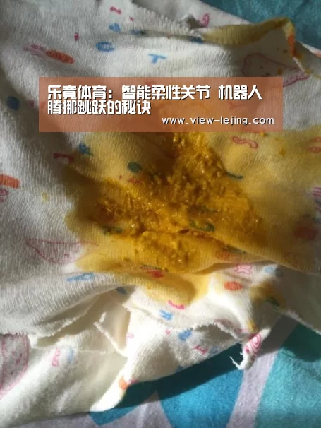 乐竟体育:智能柔性关节 机器人腾挪跳跃的秘诀(图1) 乐竟体育