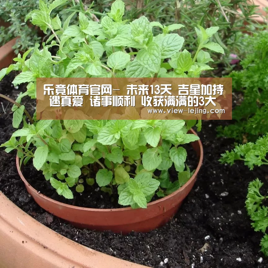 乐竟体育官网-
未来13天 吉星加持 遇真爱 诸事顺利 收获满满的3大生肖(图3) 乐竟体育官网