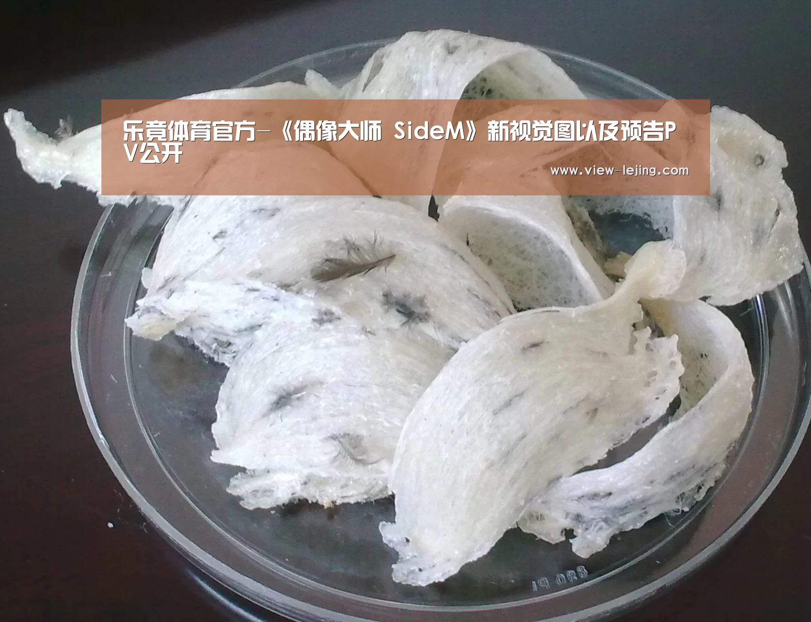 乐竟体育官方-《偶像大师 SideM》新视觉图以及预告PV公开(图4) 乐竟体育app