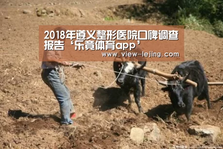 2018年遵义整形医院口碑调查报告‘乐竟体育app’(图1) 乐竟体育官网