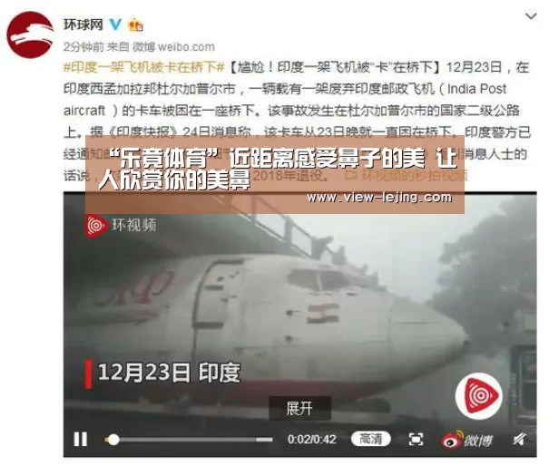 “乐竟体育”近距离感受鼻子的美 让人欣赏你的美鼻(图1) 乐竟体育app