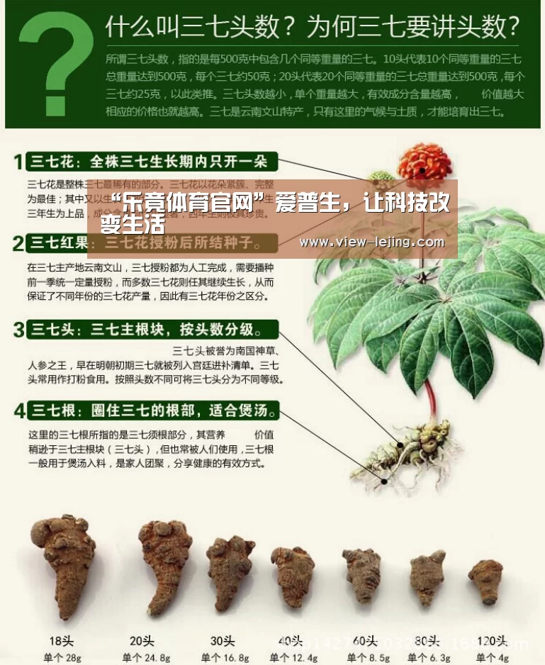 “乐竟体育官网”爱普生,让科技改变生活(图1) 乐竟体育
